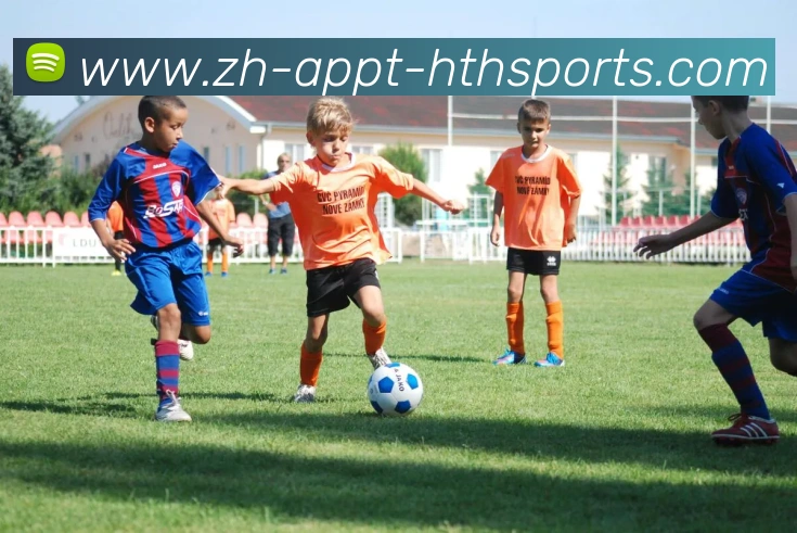 App Interface Preview